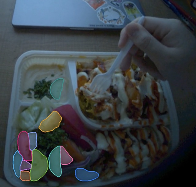 Vision and Image Processing Lab logo